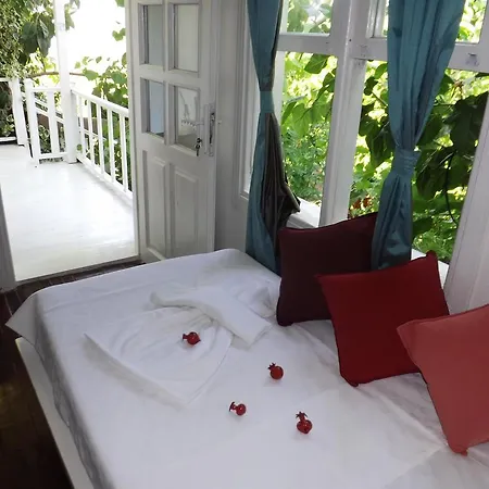 Bed & Breakfast Narli *