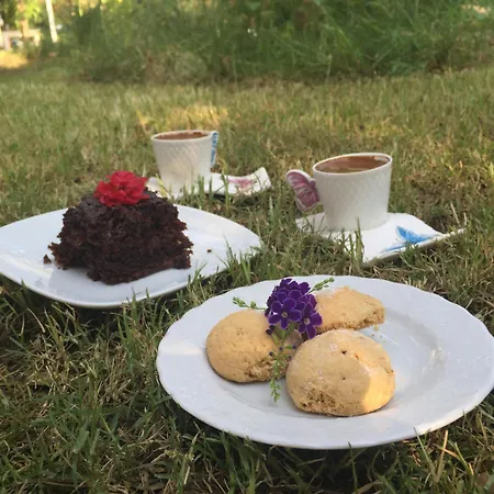 Bed & Breakfast Narli Marmaris