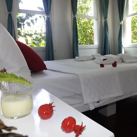 Narli Bed & Breakfast Marmaris