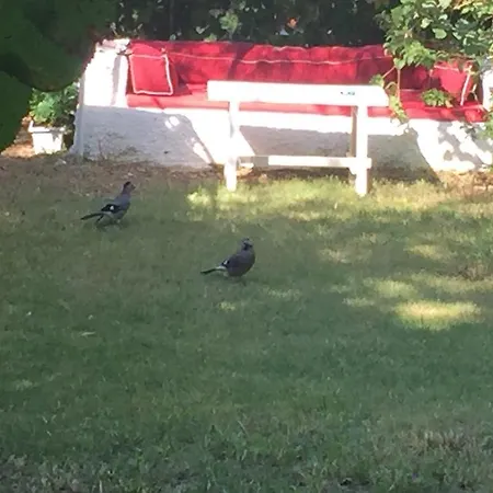 Narli Bed & Breakfast