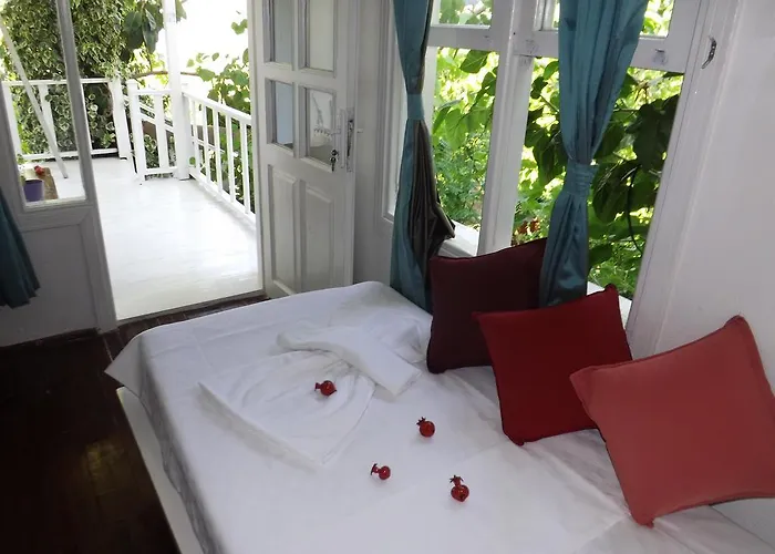 Bed and breakfast Narli *