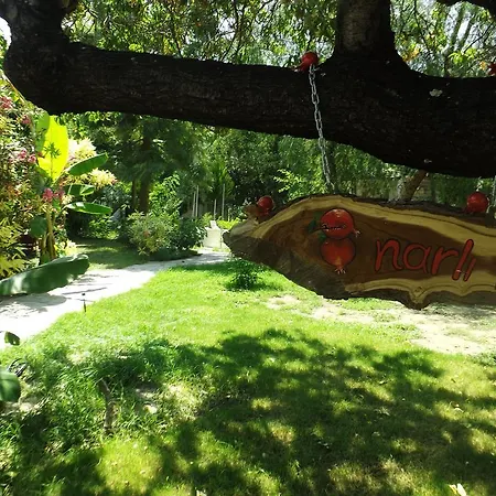 Narli Отель типа 