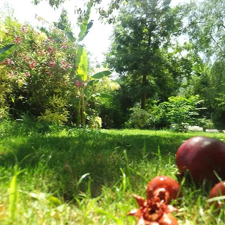 Narli مرمريس