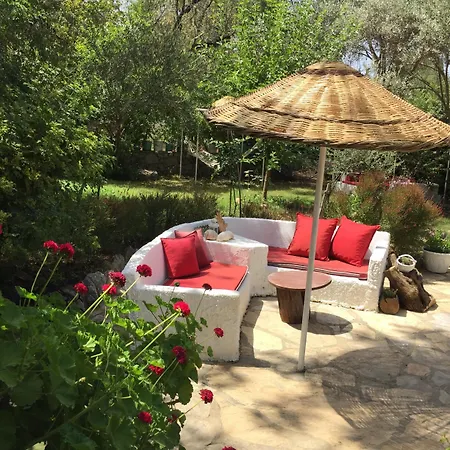 Narli Отель типа 