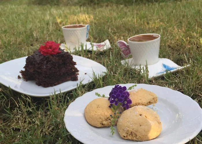 Bed & Breakfast Narli Marmaris