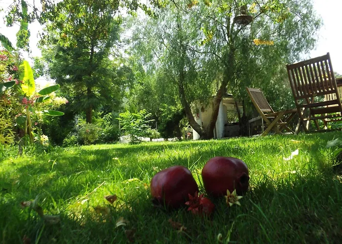 Bed & Breakfast Narli