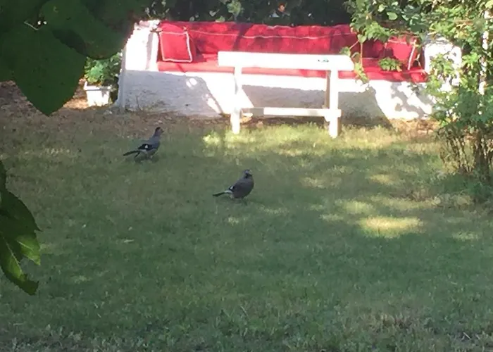 Narli Bed & Breakfast